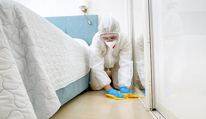Professional blood cleanup