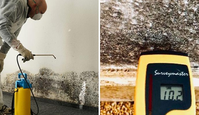 Collage of mold remediation and mold testing