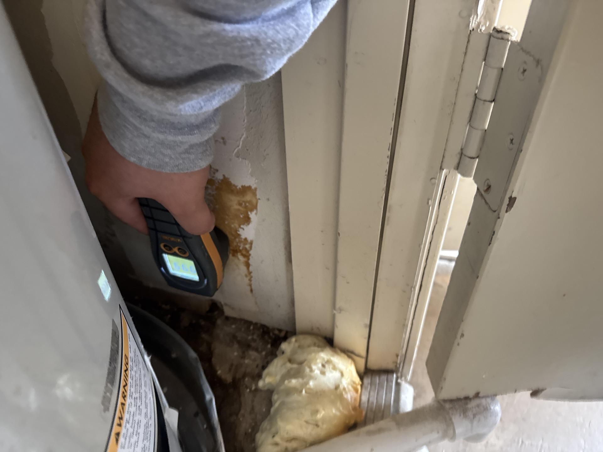 Detailed inspection of attic structural wood beams requiring professional drying and potential mold remediation due to significant water intrusion.