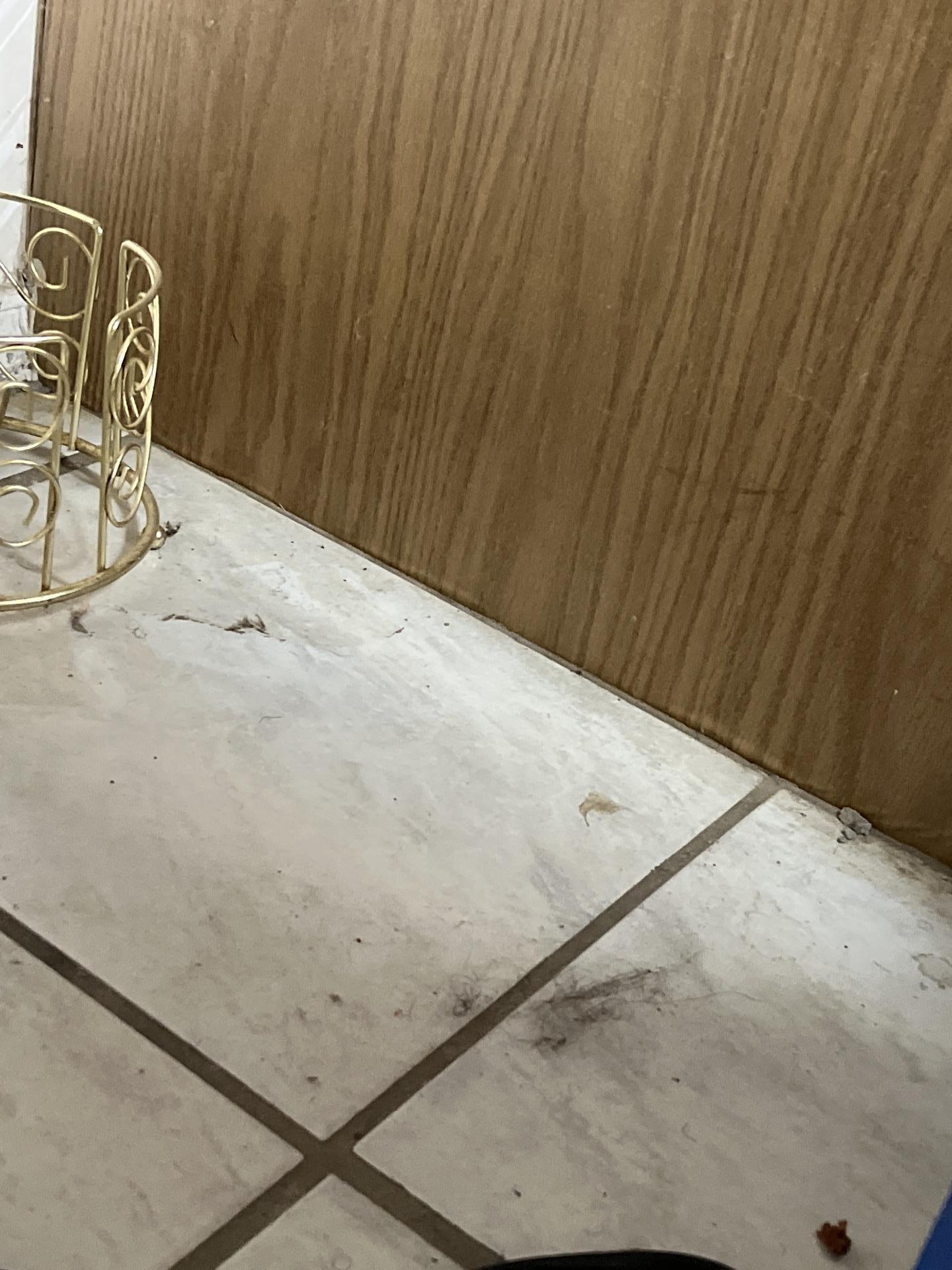 Close-up showing built-up dirt and residue in tile grout, highlighting the need for professional deep cleaning service and detailed sanitization. Our comprehensive property cleanup includes specialized floor and surface restoration for projects like tenant move-out cleaning.