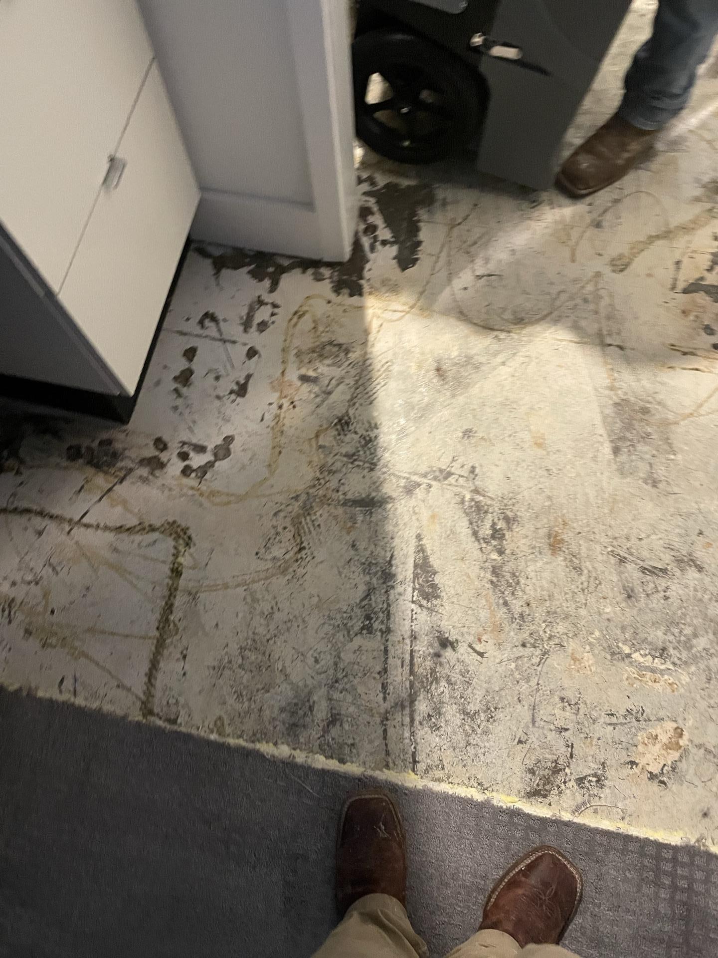 Concrete subfloor showing water stains and residue from removed flooring, with drying equipment partially visible during water damage restoration.