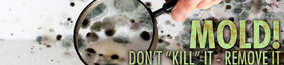 How Contents Pros Help Agents Get Renewals A banner image showing hands holding a sign that says I'm here when you need me