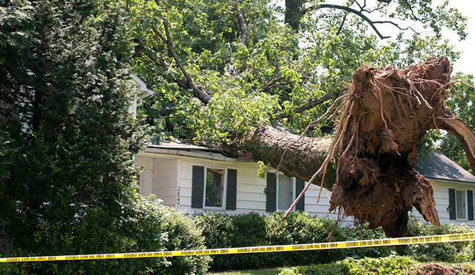 Wind Damage Restoration in Dallas-Fort Worth