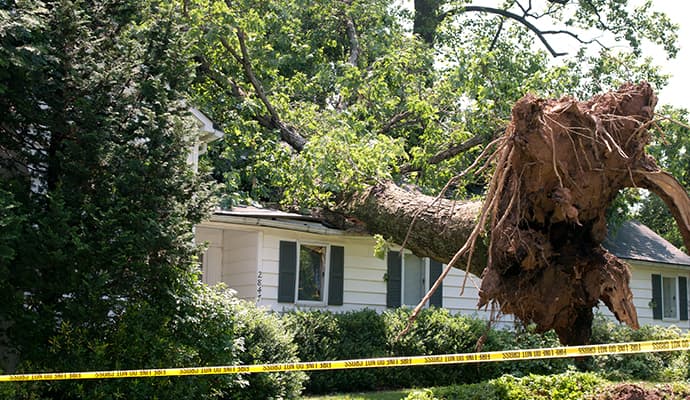 House roof damaged due to fallen tree