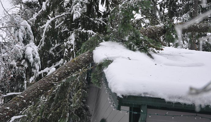 Ice-covered roof damaged by fallen tree