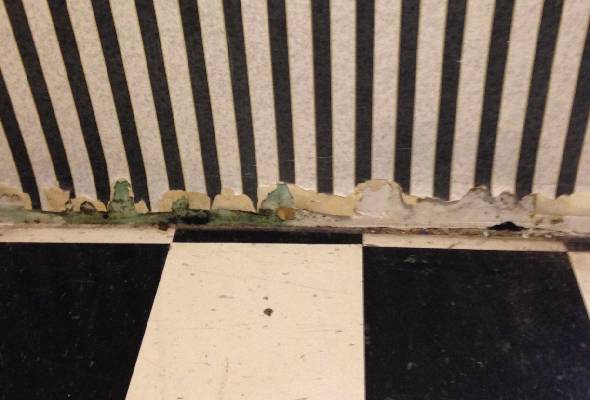 Wall Water Damage