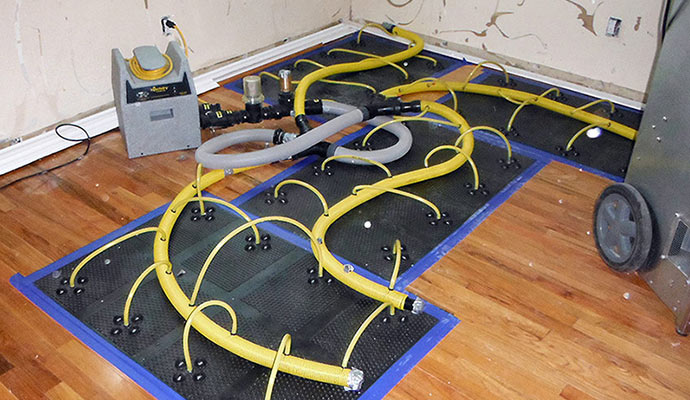 Restoration of a water damaged hardwood floor