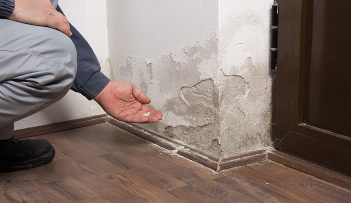 Water damaged wall