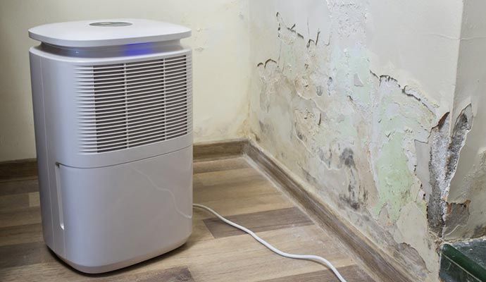 Structural Water Damage Restoration in DFW